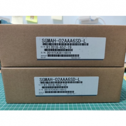 SGMAH-02AAA65SD-L _2_.jpg